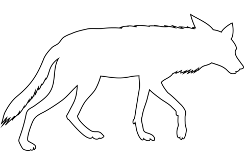 Coyote Outline Coloring Page